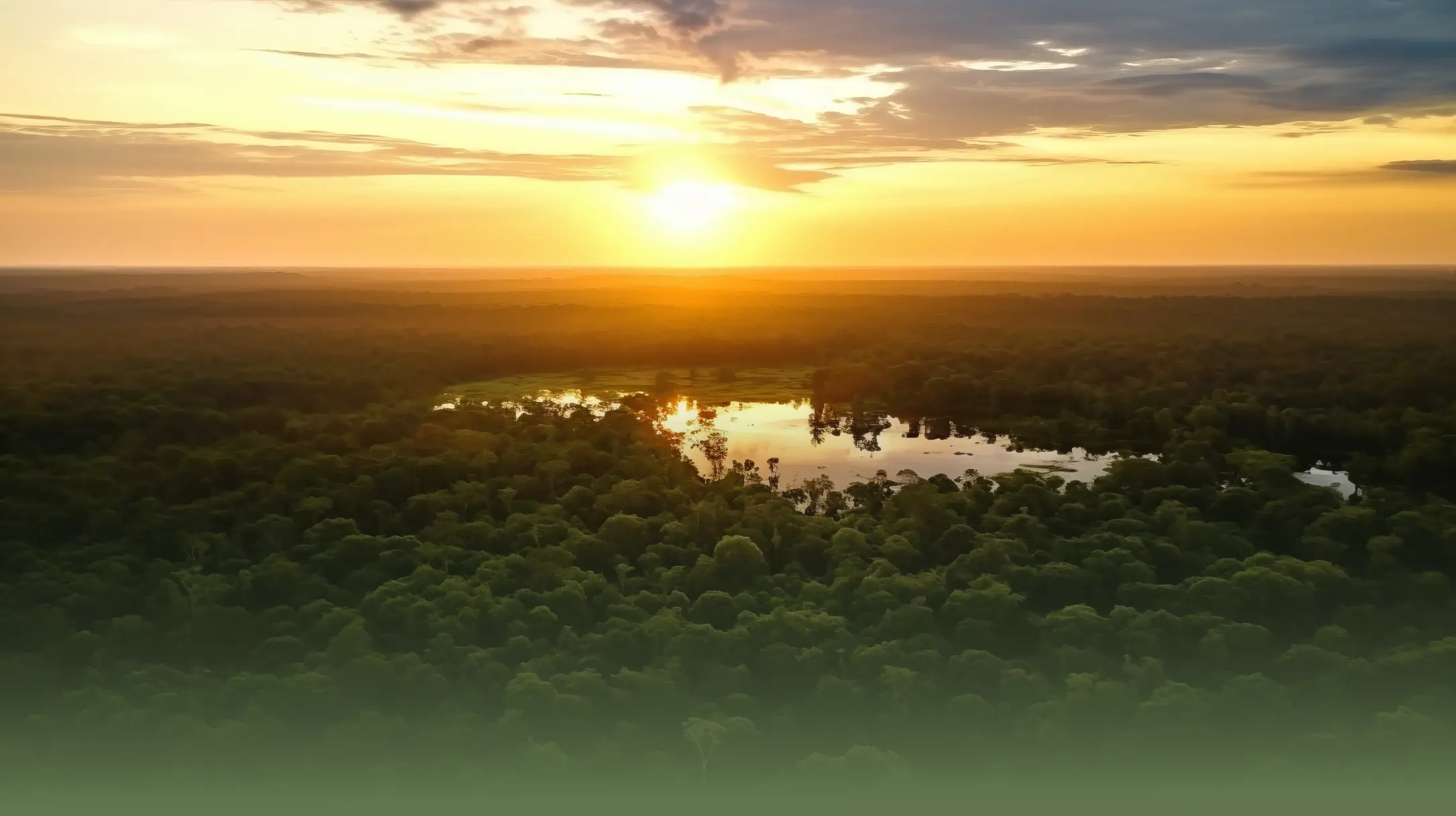 Vista aérea da floresta amazônica ao pôr do sol, com um lago refletindo a luz dourada
